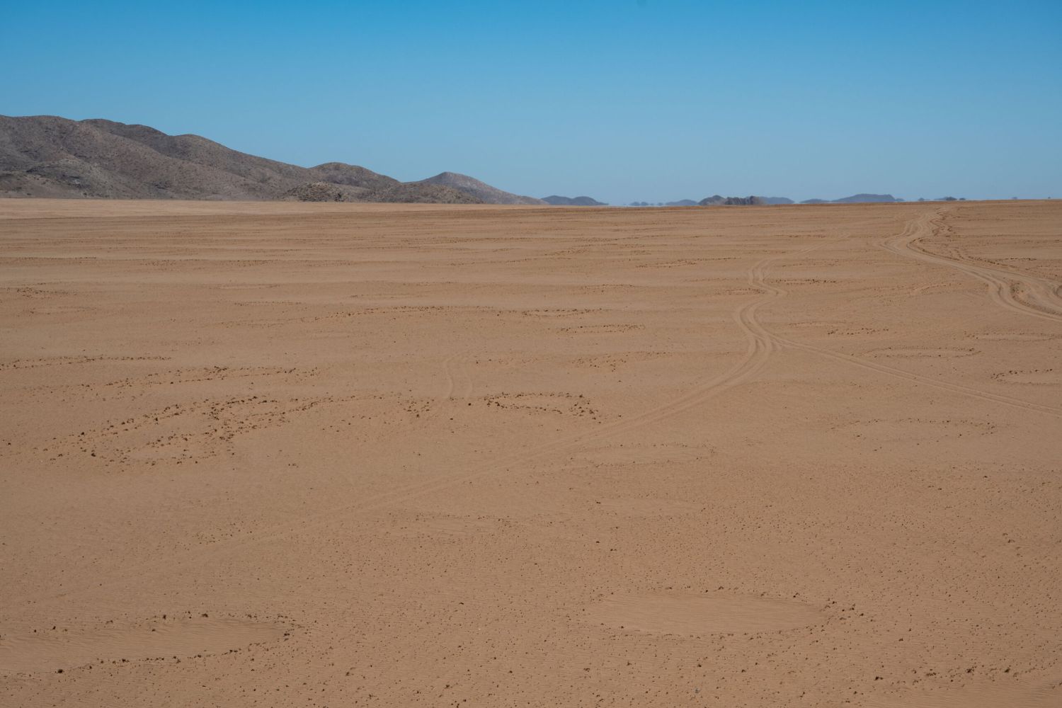 Ca. 15 Feenkreise im Sand