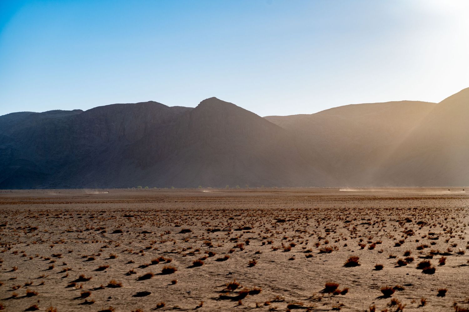 drei Strausse ziehen eine Staubwolke hinter sich her, während sie durch Wüste rennen