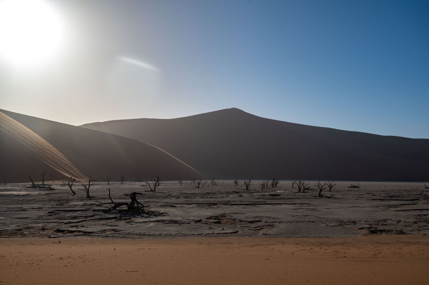 Sonnenaufgang mit toten Köcherbäumen im Vordergrund und Dünen im Hintergrund